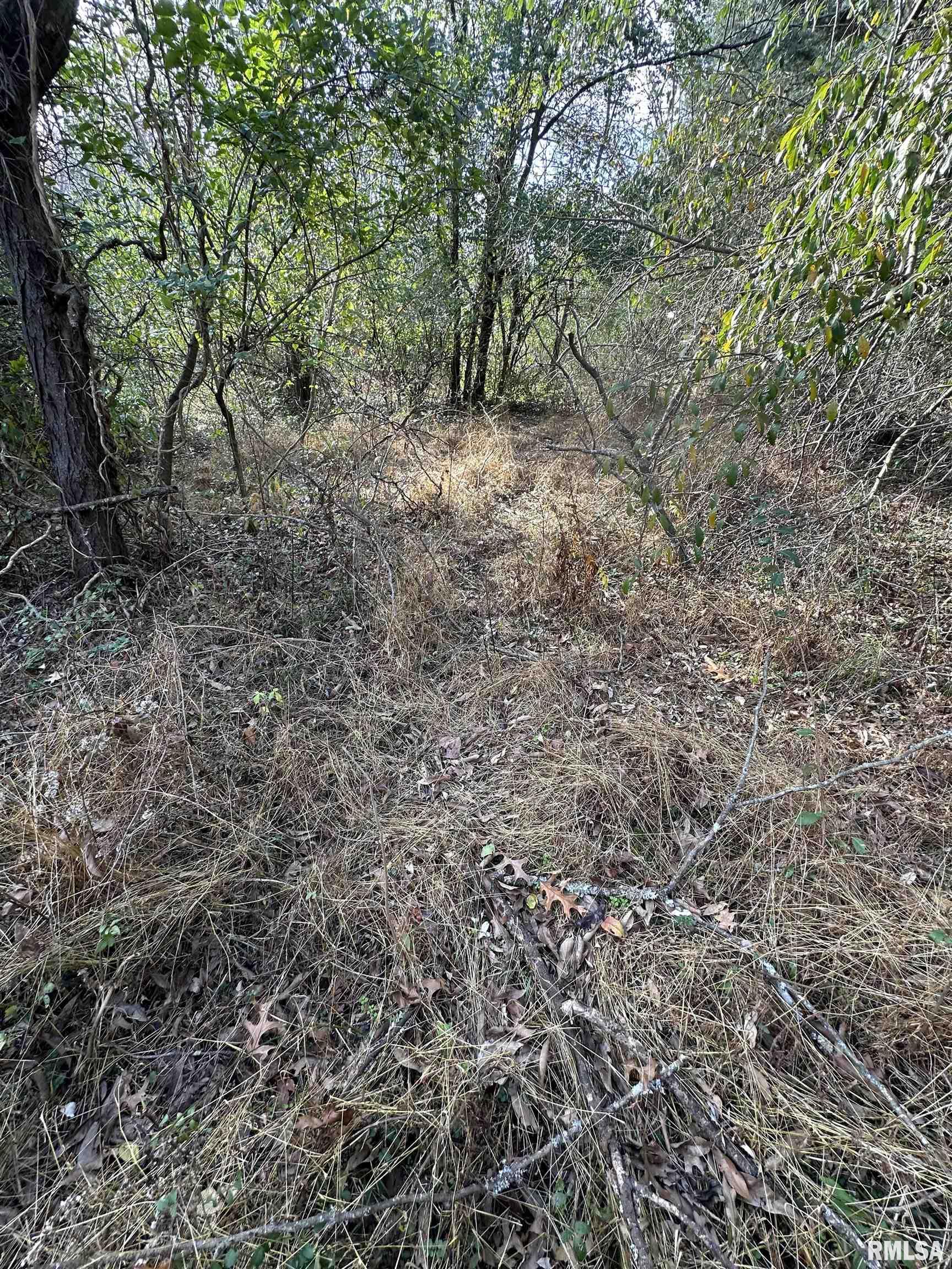 400-block Edgewood Road Salem, IL 62881 - Photo 54 of 72