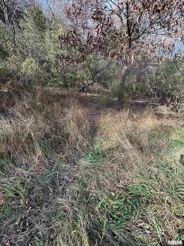 $220,000 | 400-block Edgewood Road, Salem, IL 62881