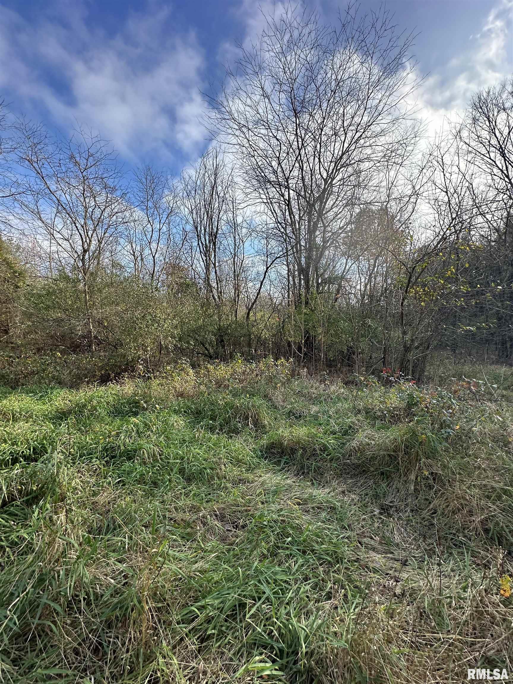 400-block Edgewood Road Salem, IL 62881 - Photo 57 of 72