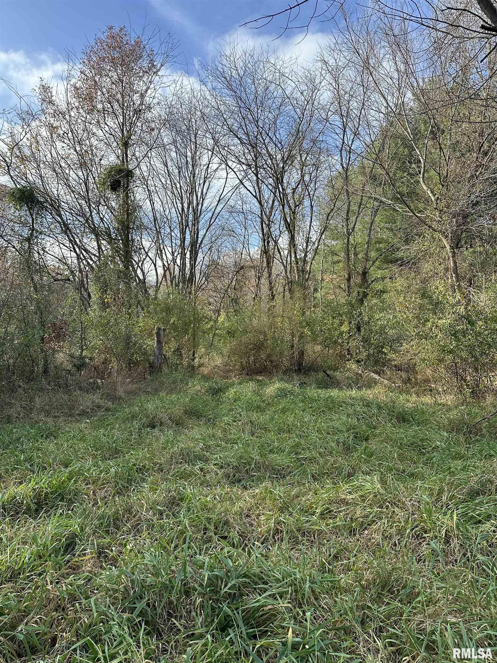 400-block Edgewood Road Salem, IL 62881 - Photo 58 of 72