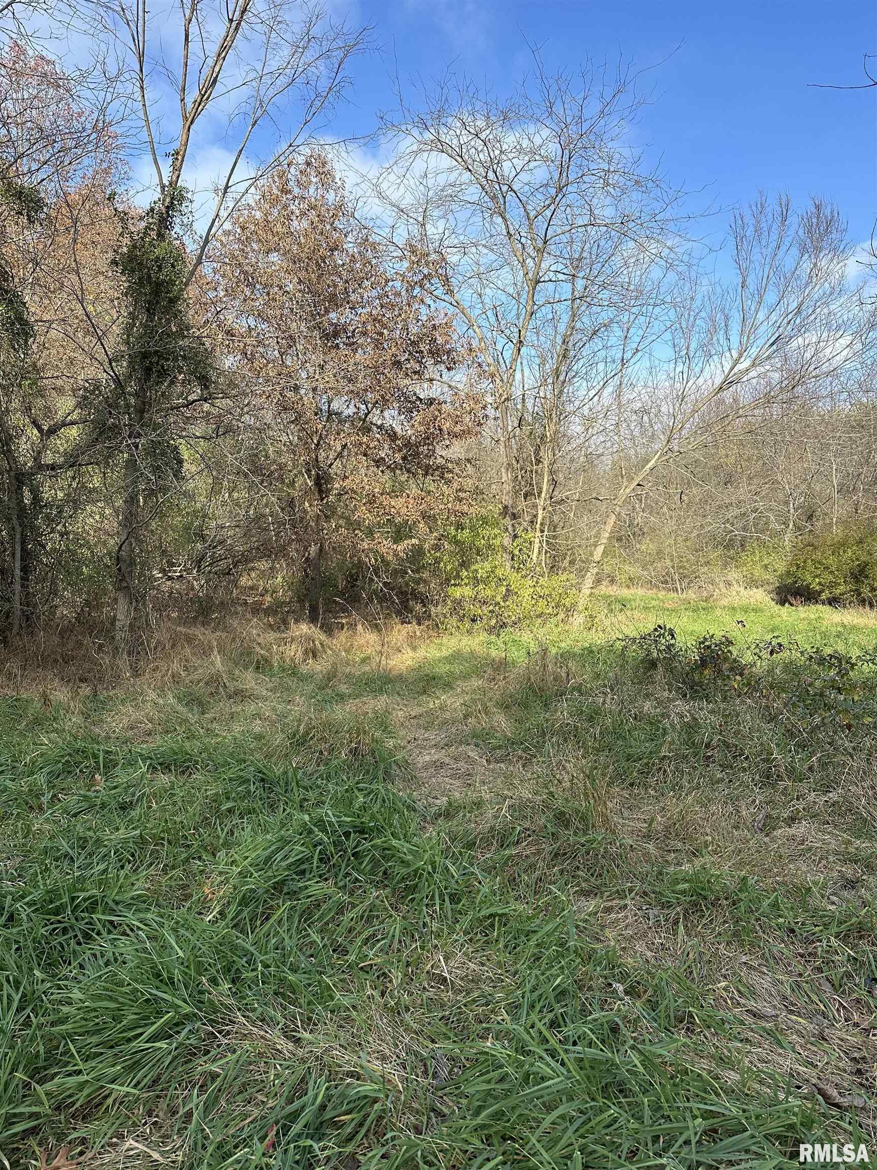 400-block Edgewood Road Salem, IL 62881 - Photo 59 of 72