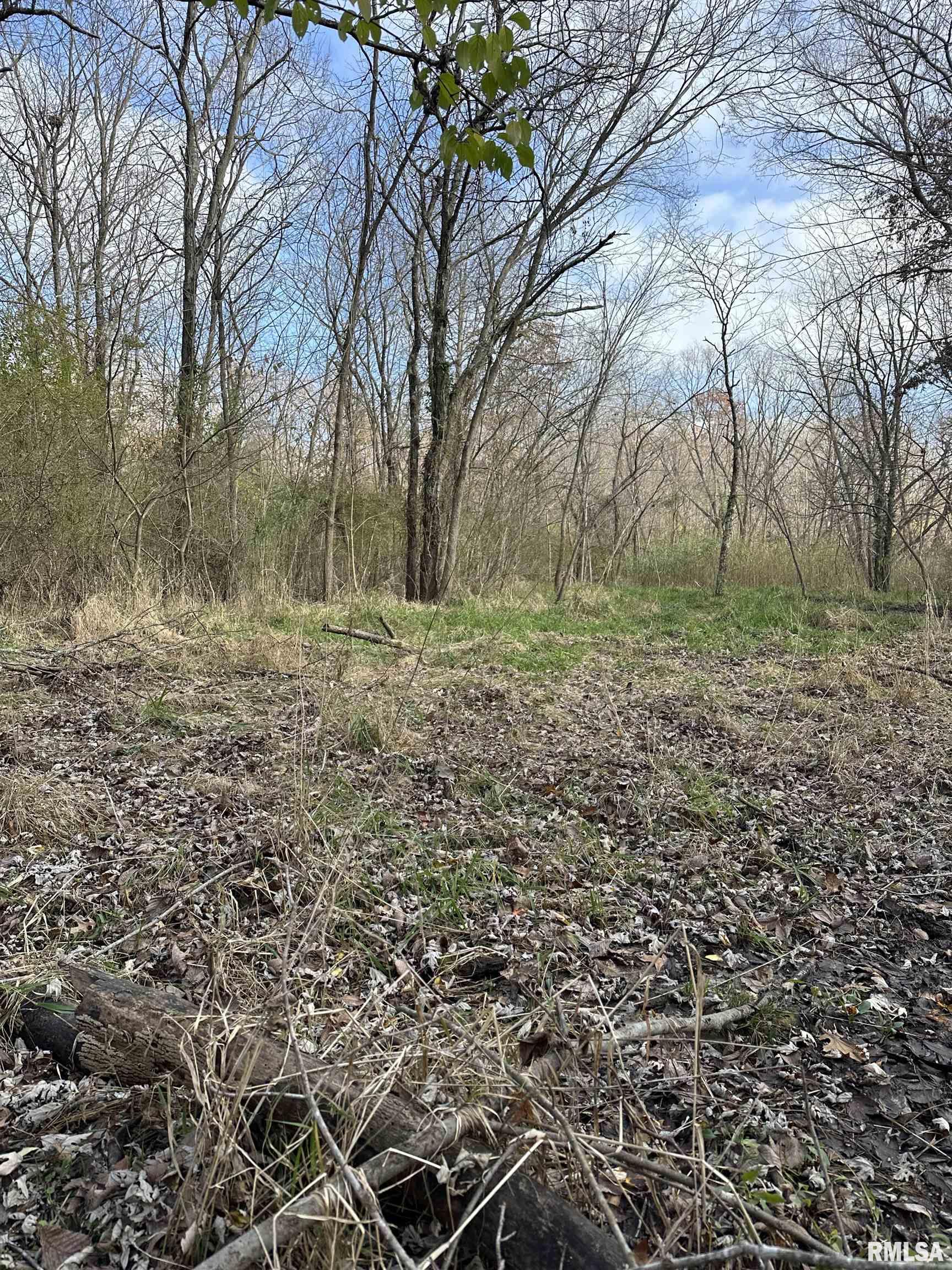 400-block Edgewood Road Salem, IL 62881 - Photo 61 of 72