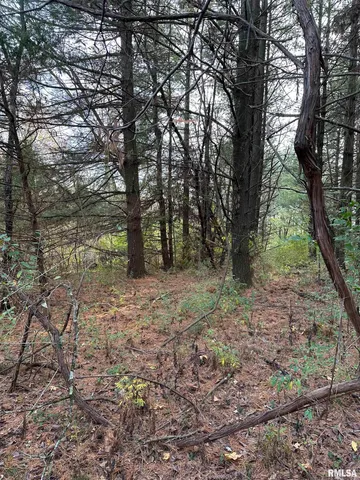 $220,000 | 400-block Edgewood Road, Salem, IL 62881