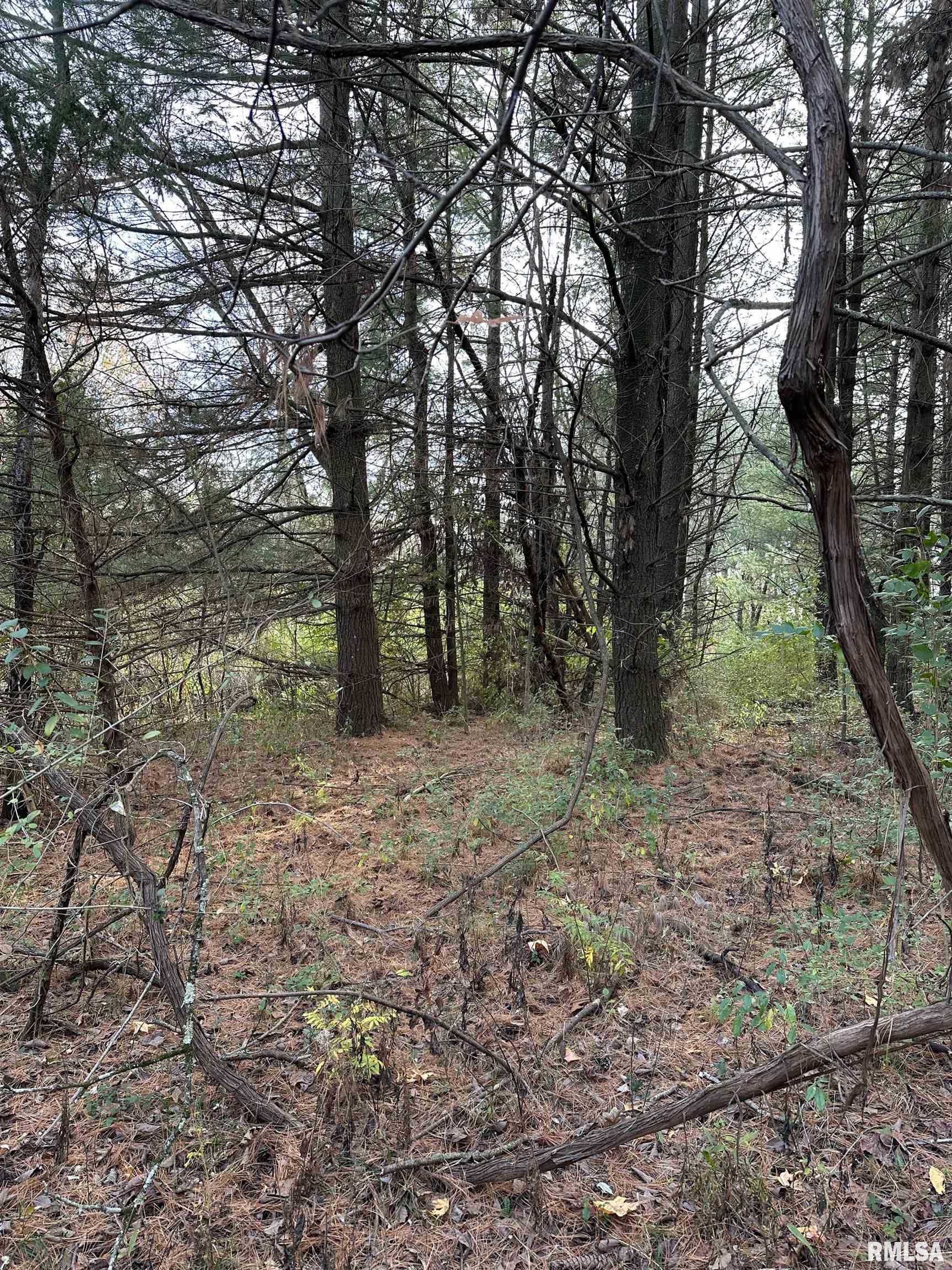 400-block Edgewood Road Salem, IL 62881 - Photo 62 of 72