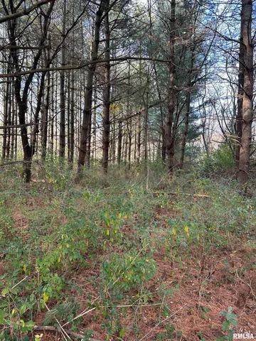 $220,000 | 400-block Edgewood Road, Salem, IL 62881