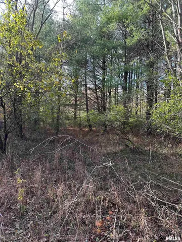 $220,000 | 400-block Edgewood Road, Salem, IL 62881