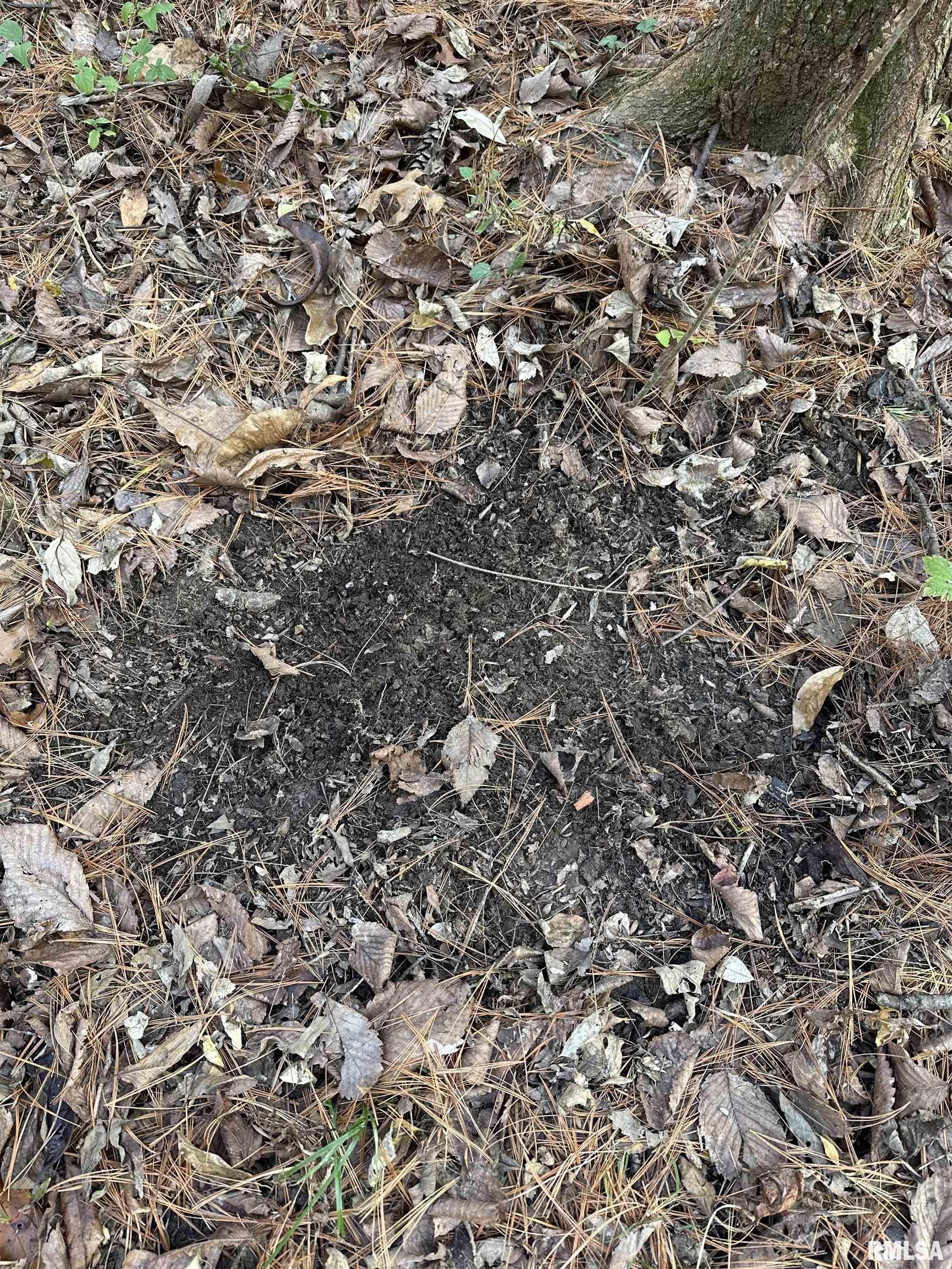 400-block Edgewood Road Salem, IL 62881 - Photo 67 of 72