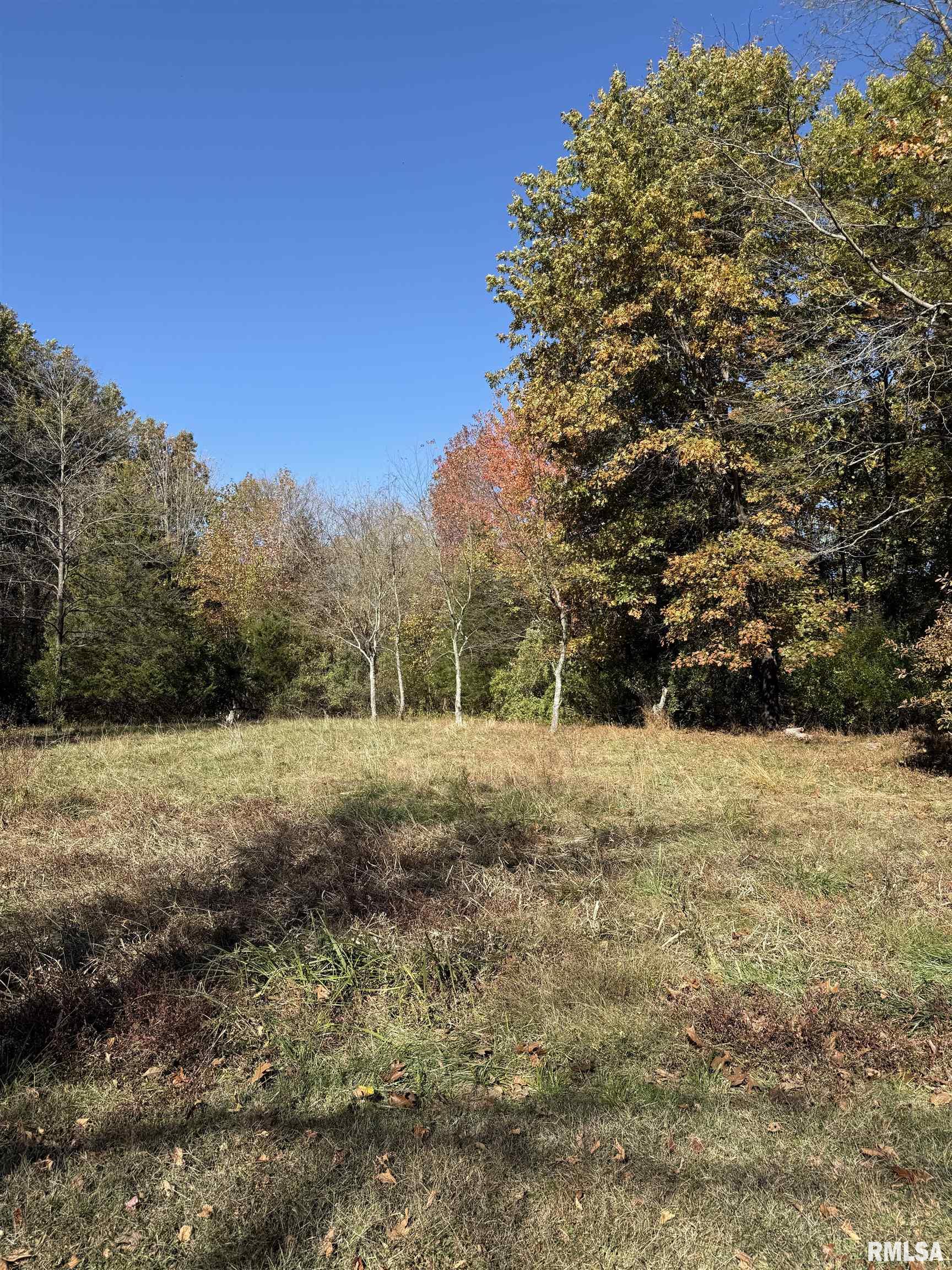 400-block Edgewood Road Salem, IL 62881 - Photo 68 of 72