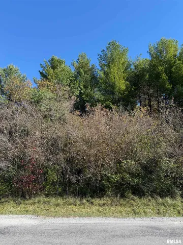 $220,000 | 400-block Edgewood Road, Salem, IL 62881