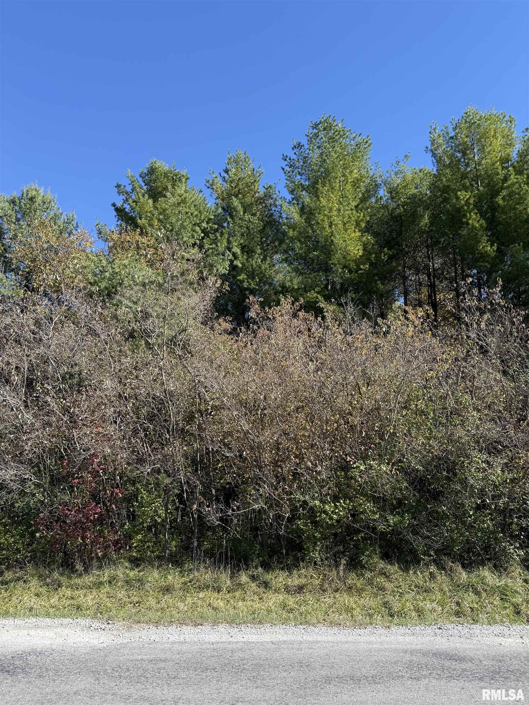 400-block Edgewood Road Salem, IL 62881 - Photo 69 of 72