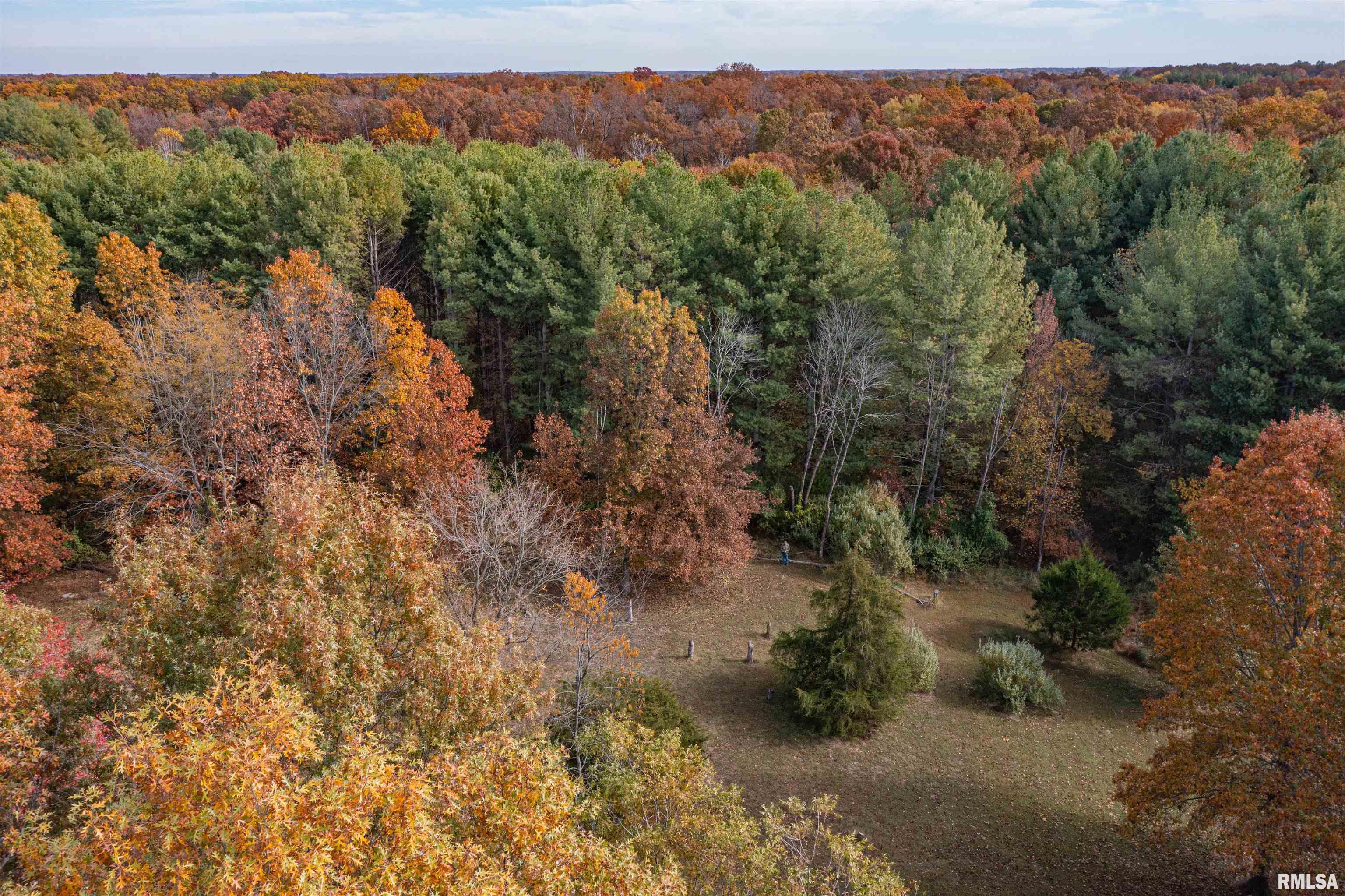 400-block Edgewood Road Salem, IL 62881 - Photo 10 of 72