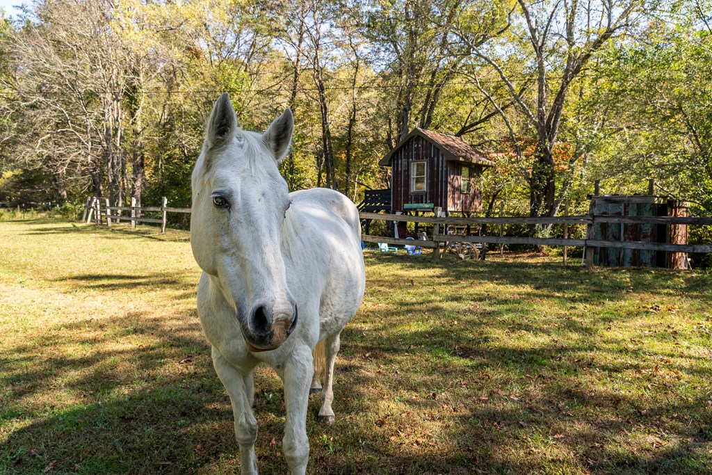 1681 Marrestop Road Murphy, NC 28906 - Photo 40 of 53 a view of swimming pool from a lake view