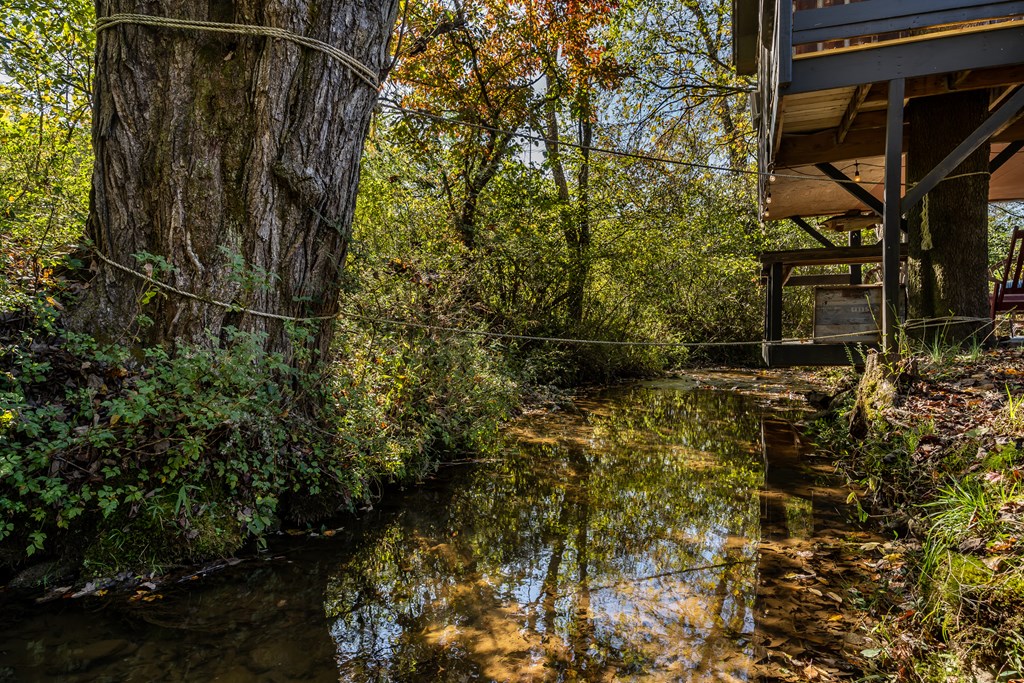 1681 Marrestop Road Murphy, NC 28906 - Photo 46 of 53 a view of a backyard