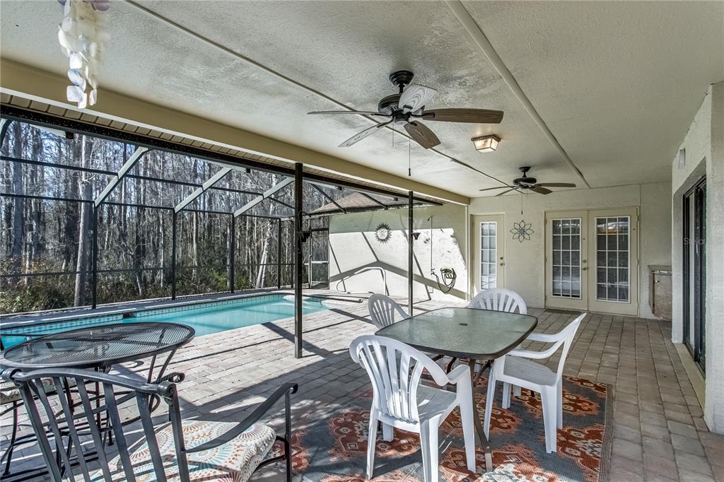 5045 Musselshell Drive New Port Richey, FL 34655 - Photo 20 of 25