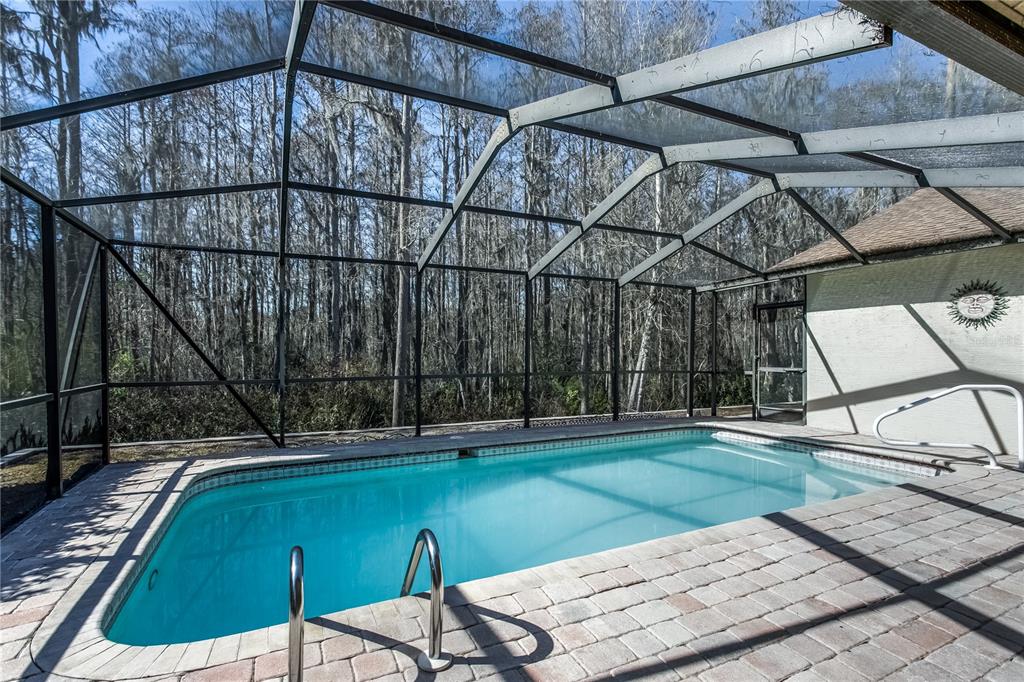 5045 Musselshell Drive New Port Richey, FL 34655 - Photo 2 of 25