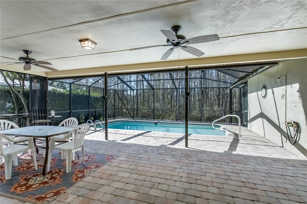 5045 Musselshell Drive New Port Richey, FL 34655 - Photo 21 of 25