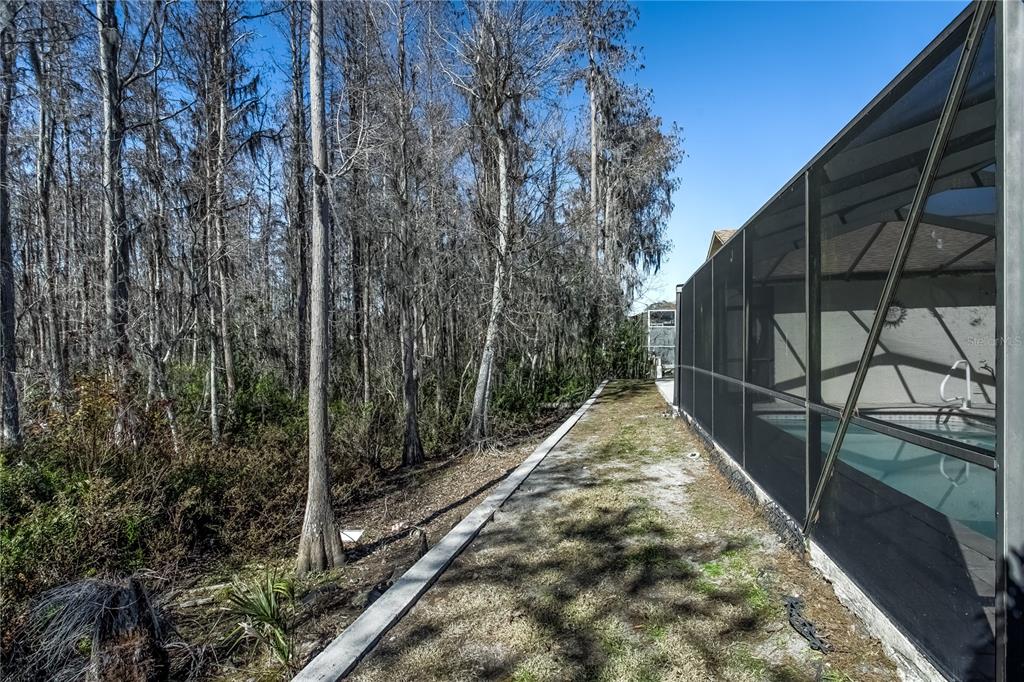 5045 Musselshell Drive New Port Richey, FL 34655 - Photo 23 of 25