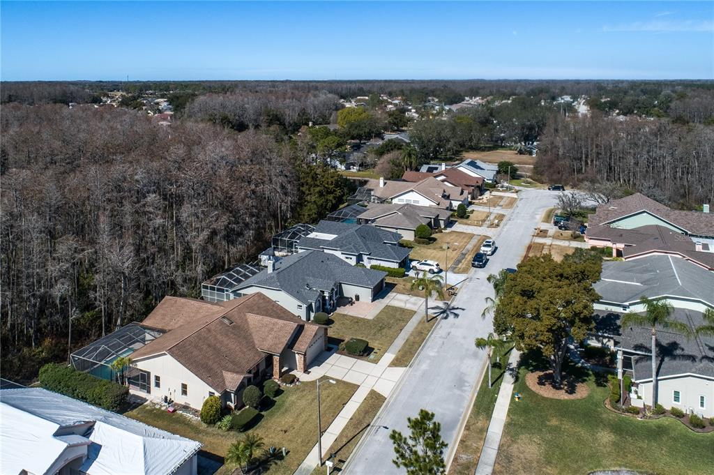 5045 Musselshell Drive New Port Richey, FL 34655 - Photo 25 of 25