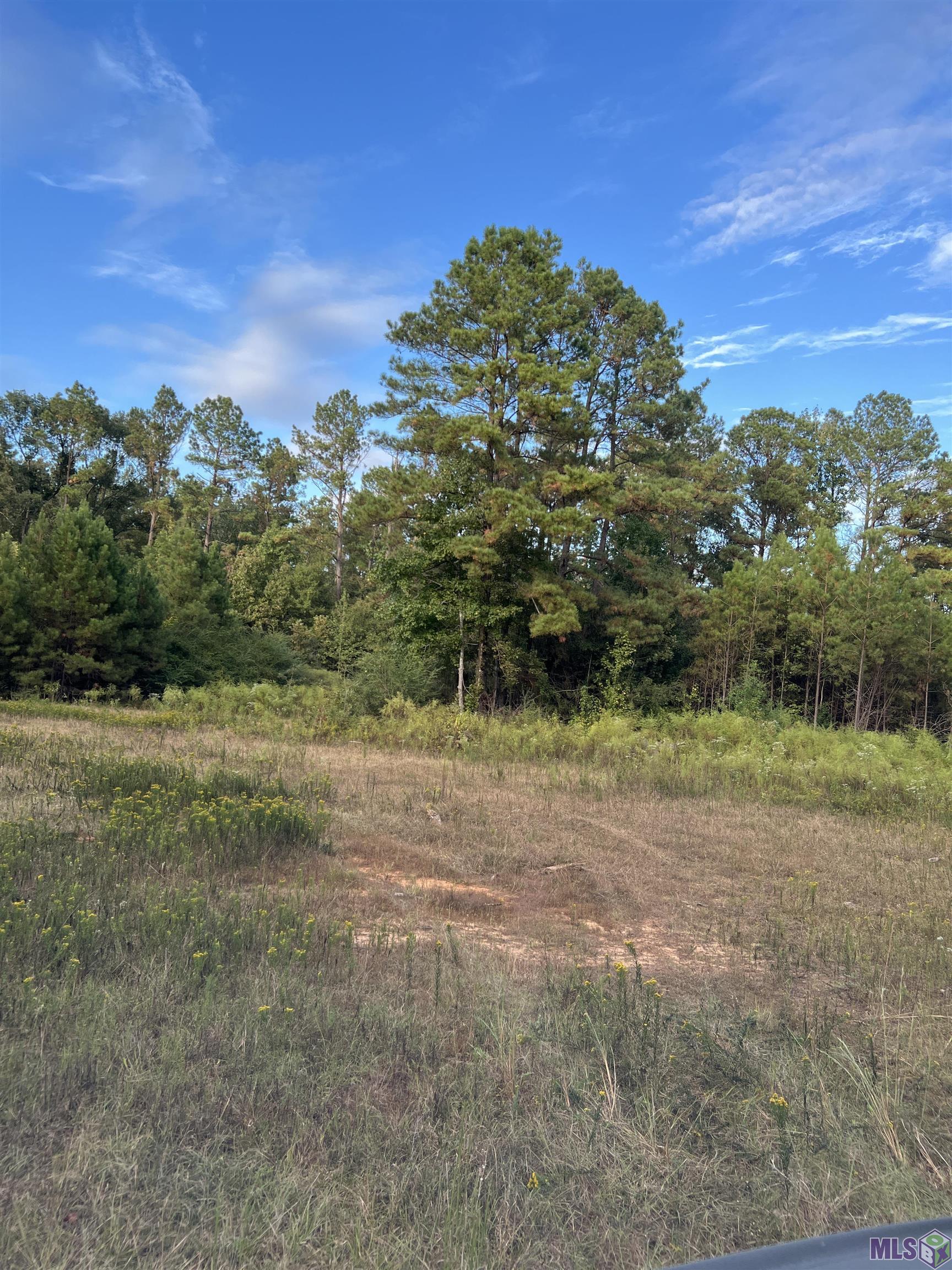 63 Clinton La Clinton, LA 70722 - Photo 4 of 10