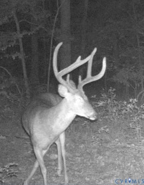 1719 Canterbury Road St. Stephens Church, VA 23148 - Photo 7 of 10