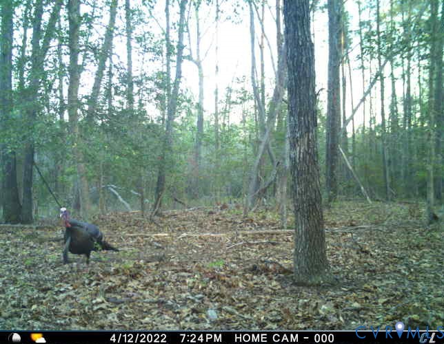 1719 Canterbury Road St. Stephens Church, VA 23148 - Photo 10 of 10
