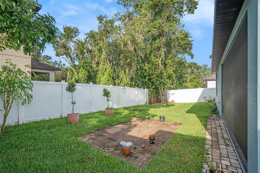 12330 Newt Court New Port Richey, FL 34654 - Photo 28 of 30 a view of a backyard