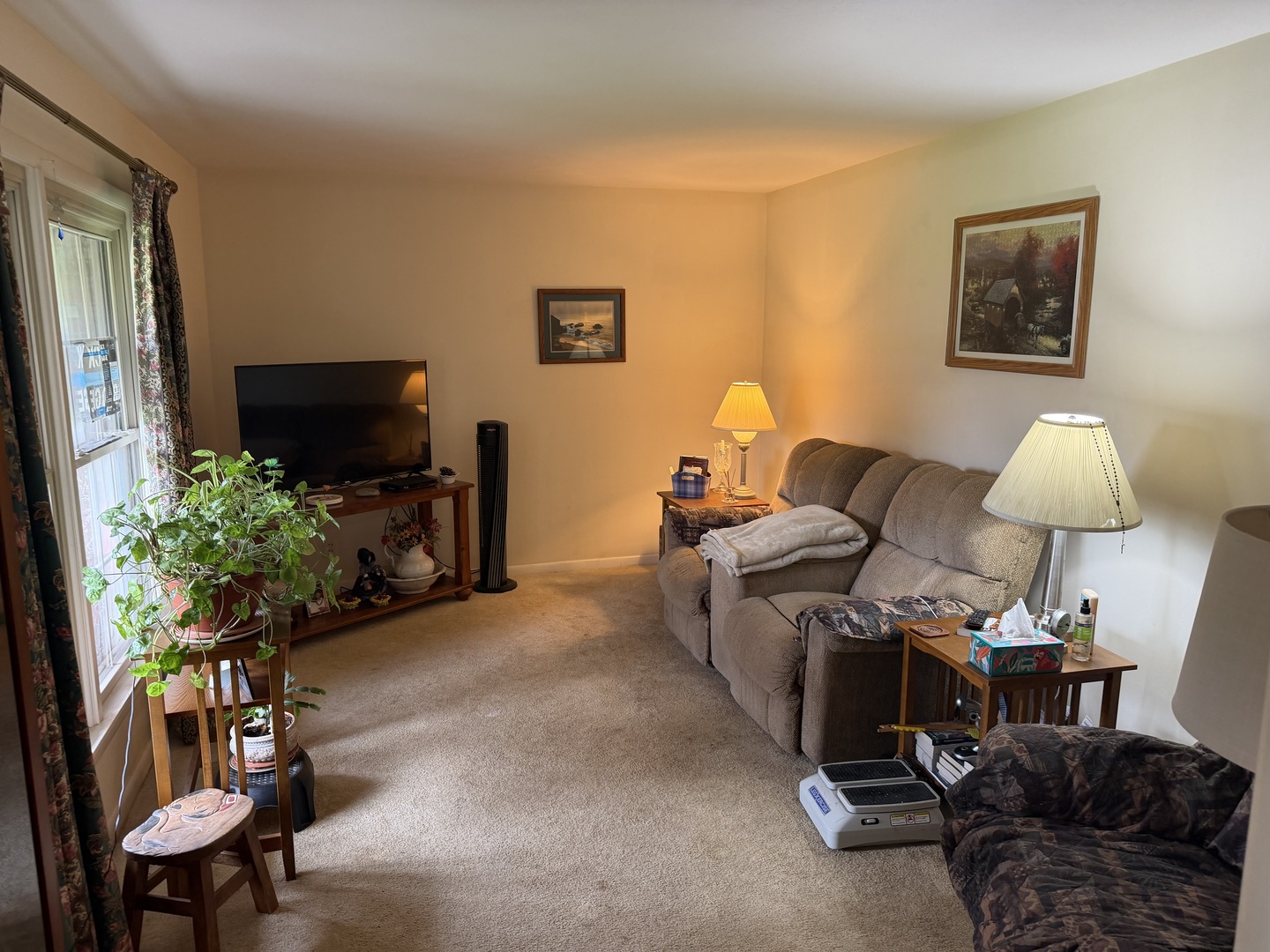 54 Jon Street Metropolis, IL 62960 - Photo 7 of 33