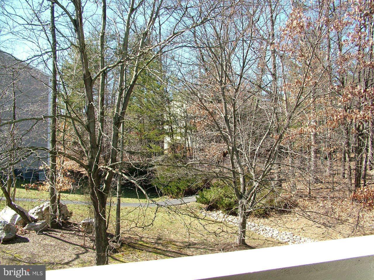 7708 Lexton Place, Unit 82 Springfield, VA 22152 - Photo 19 of 25 View