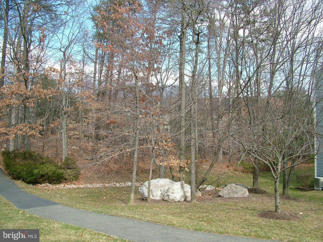 7708 Lexton Place, Unit 82 Springfield, VA 22152 - Photo 3 of 25 Community