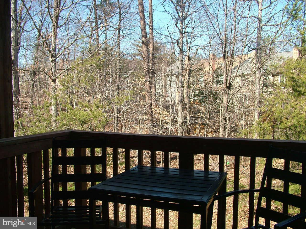 7708 Lexton Place, Unit 82 Springfield, VA 22152 - Photo 8 of 25 View