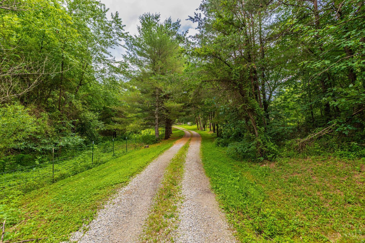 1237 Black Hollow Road Peebles, OH 45660 - Photo 4 of 46