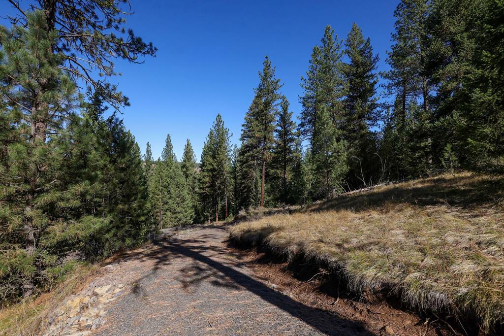 Lot 22 Rim Road, Unit 22 New Meadows, ID 83654 - Photo 40 of 56