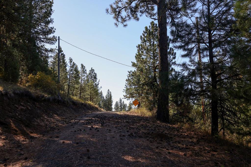 Lot 22 Rim Road, Unit 22 New Meadows, ID 83654 - Photo 50 of 56