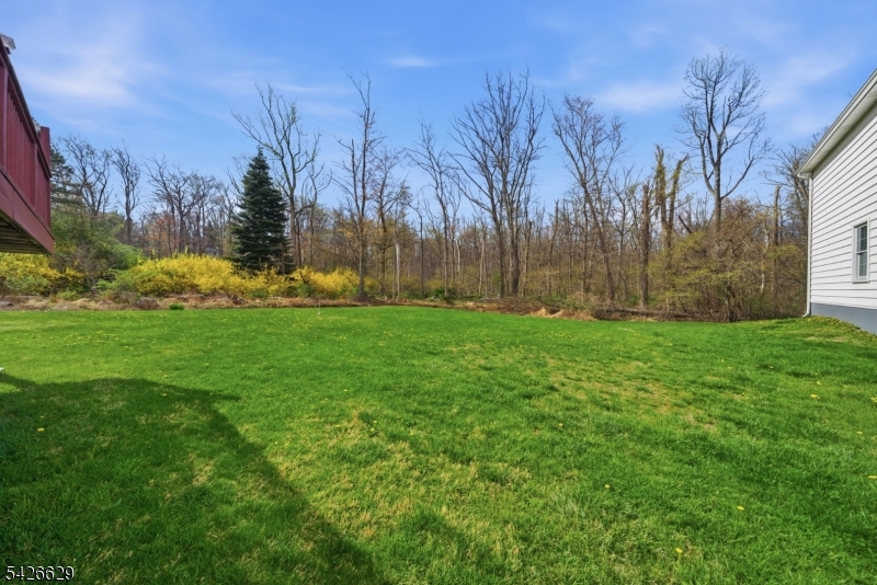 42 Schoolhouse Road Randolph, NJ 07869 - Photo 42 of 49 a backyard of a house with lots of green space