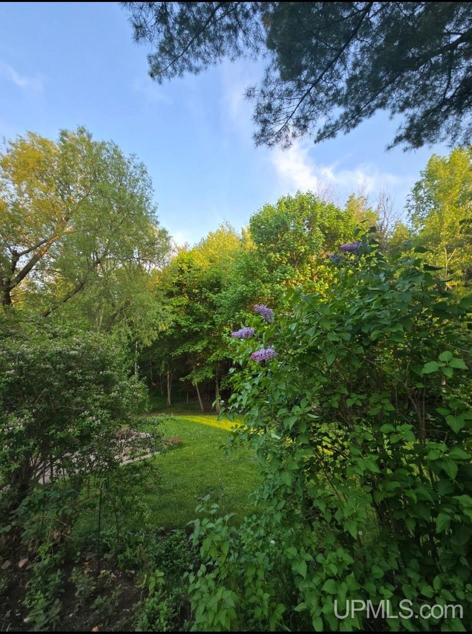423 West Hampton Street Marquette, MI 49855 - Photo 5 of 99
