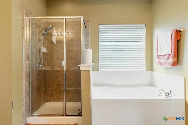 a bathroom with a bathtub and a shower