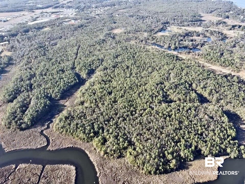 0 Riverview Pointe Drive Theodore, AL 36582 - Photo 12 of 21
