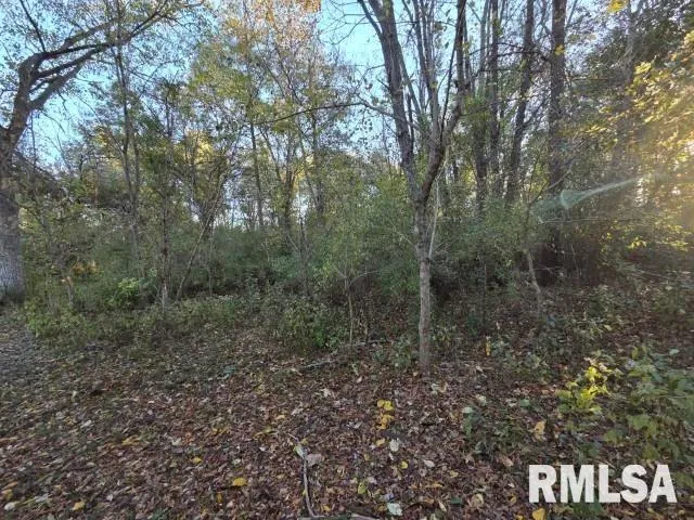 $70,000 | 14009 North Tolle Lane, Mount Vernon, IL 62864