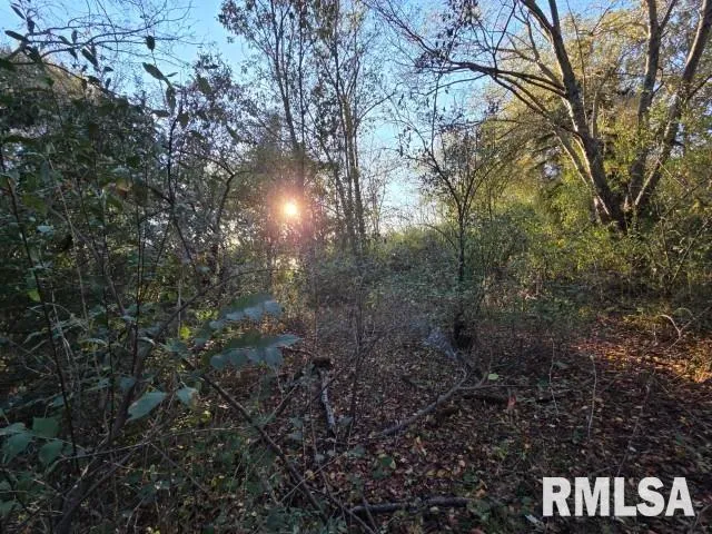 $70,000 | 14009 North Tolle Lane, Mount Vernon, IL 62864