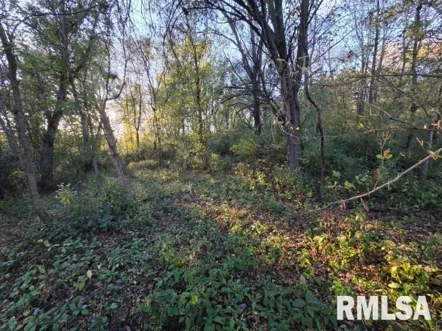 $70,000 | 14009 North Tolle Lane, Mount Vernon, IL 62864