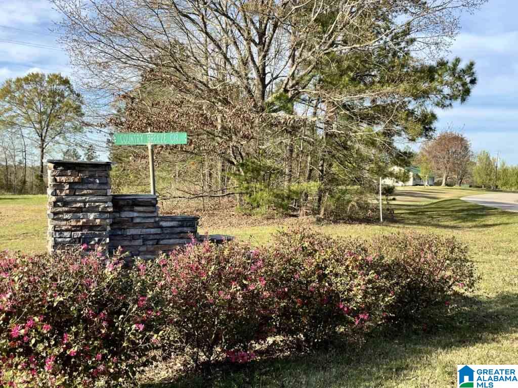 180 Country Breeze Circle Wedowee, AL 36278 - Photo 4 of 4