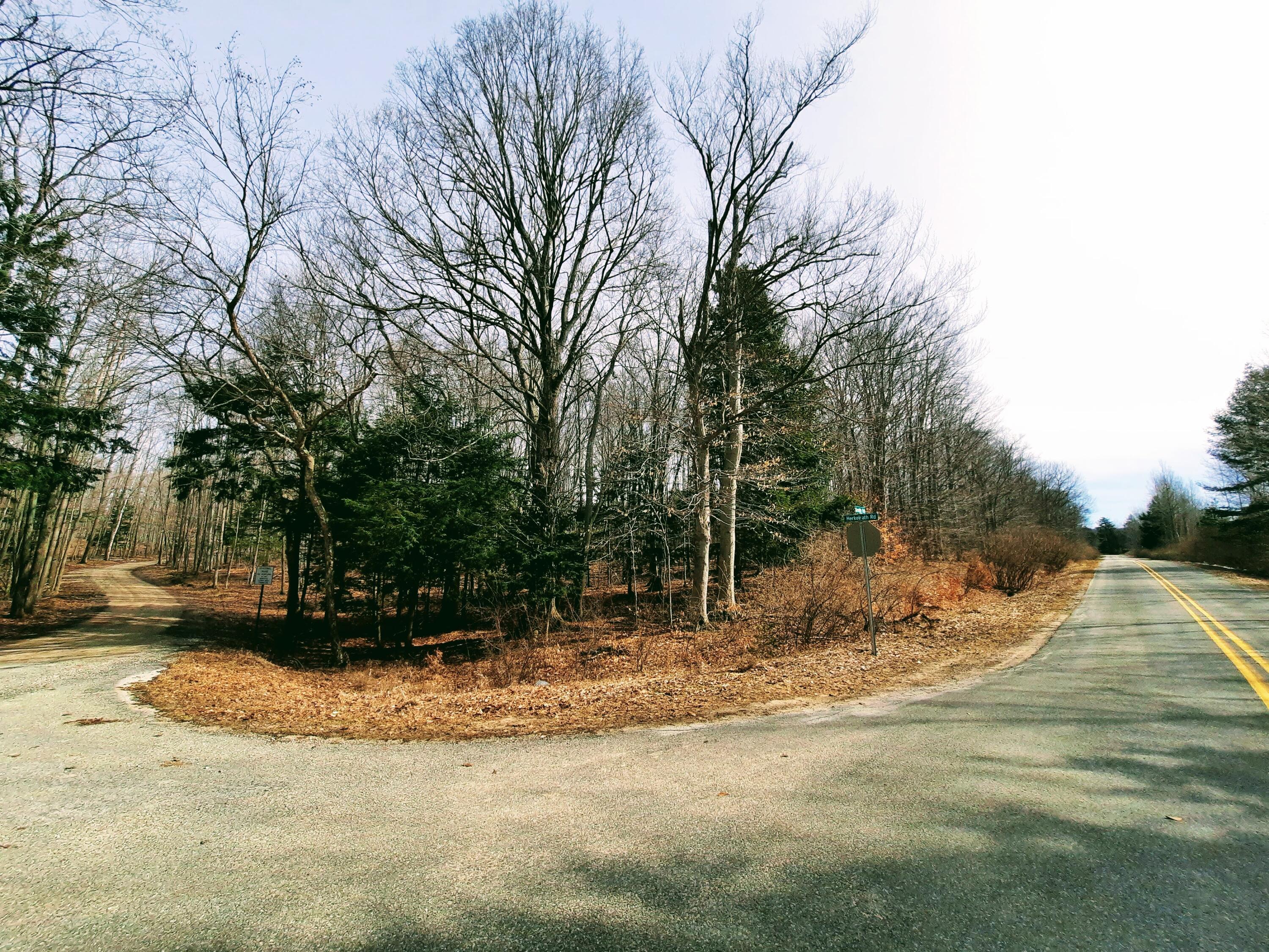 Lot 47 Smith Road Onekama, MI 49675 - Photo 7 of 24 Corner of Smith and Herkelrath