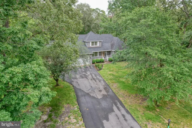 a view of a forest with a street
