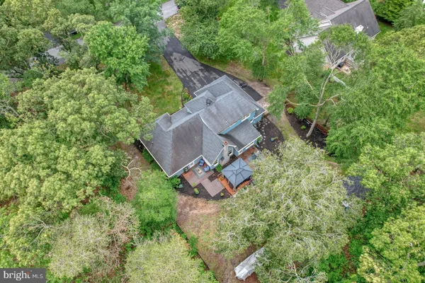 a park with lots of tress in the background