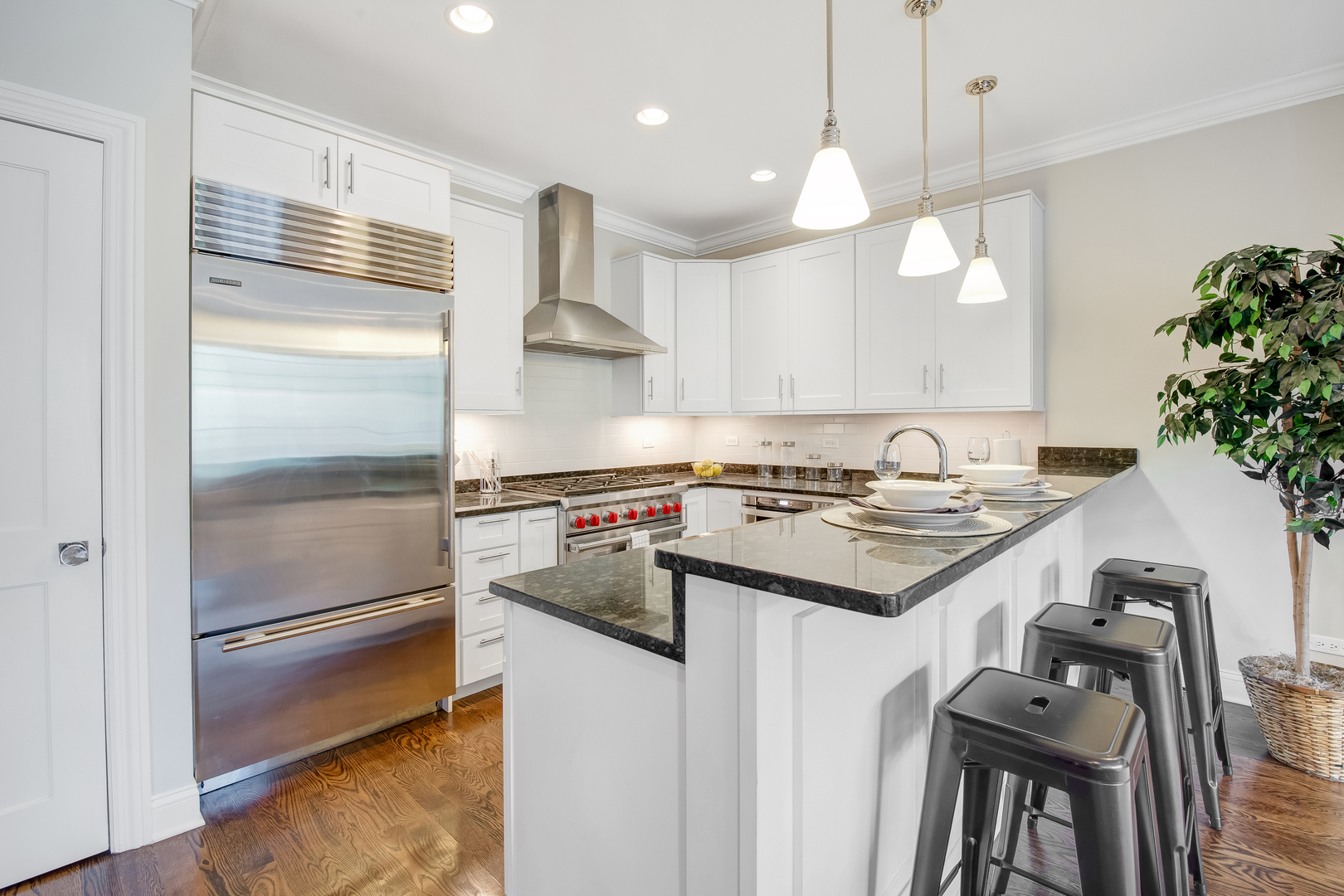 843 West Fletcher Street, Unit 2W Chicago, IL 60657 - Photo 3 of 23
