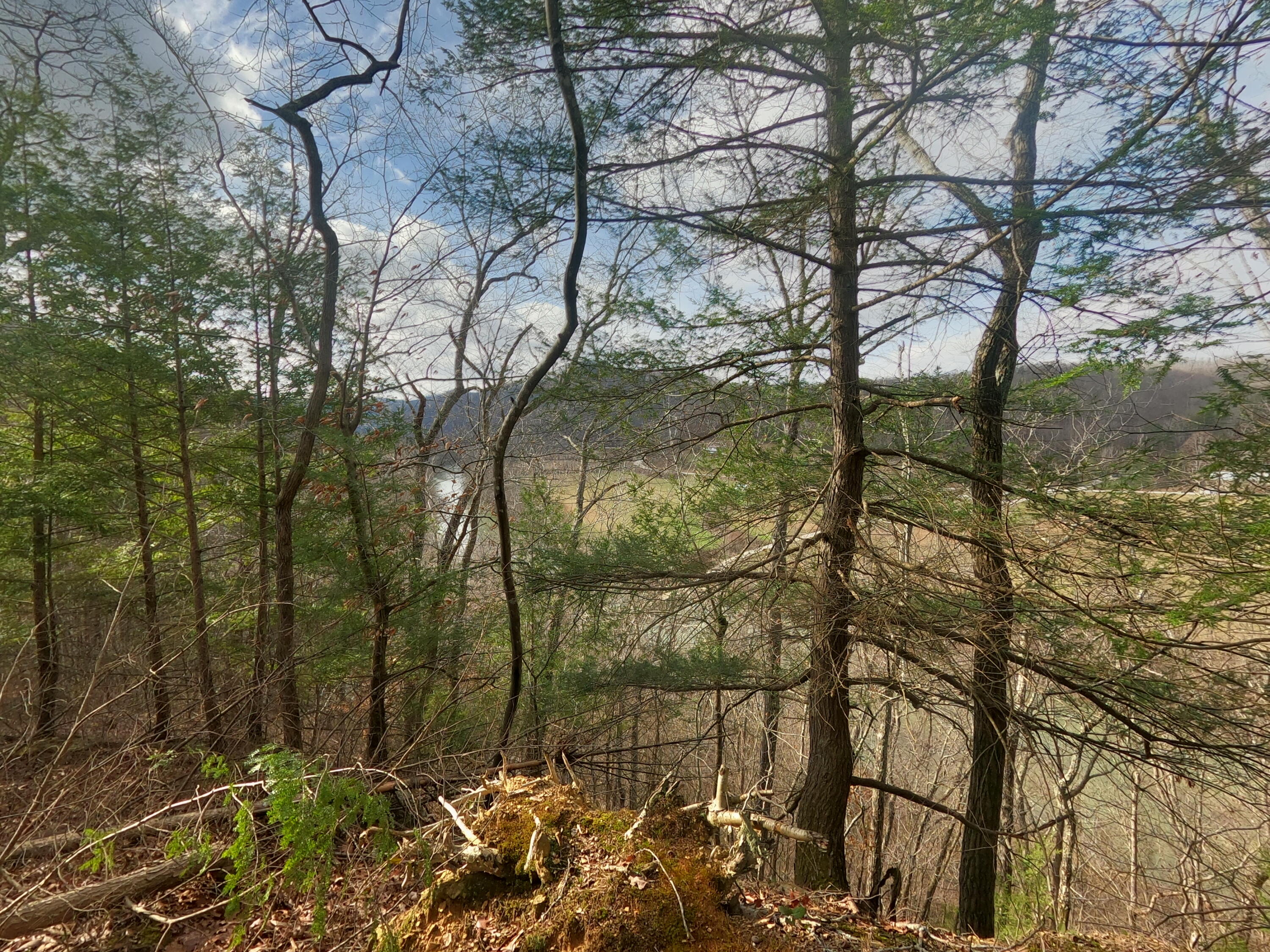 231 Bishop Cemetery Road Ricetown, KY 41364 - Photo 23 of 25 1000007689