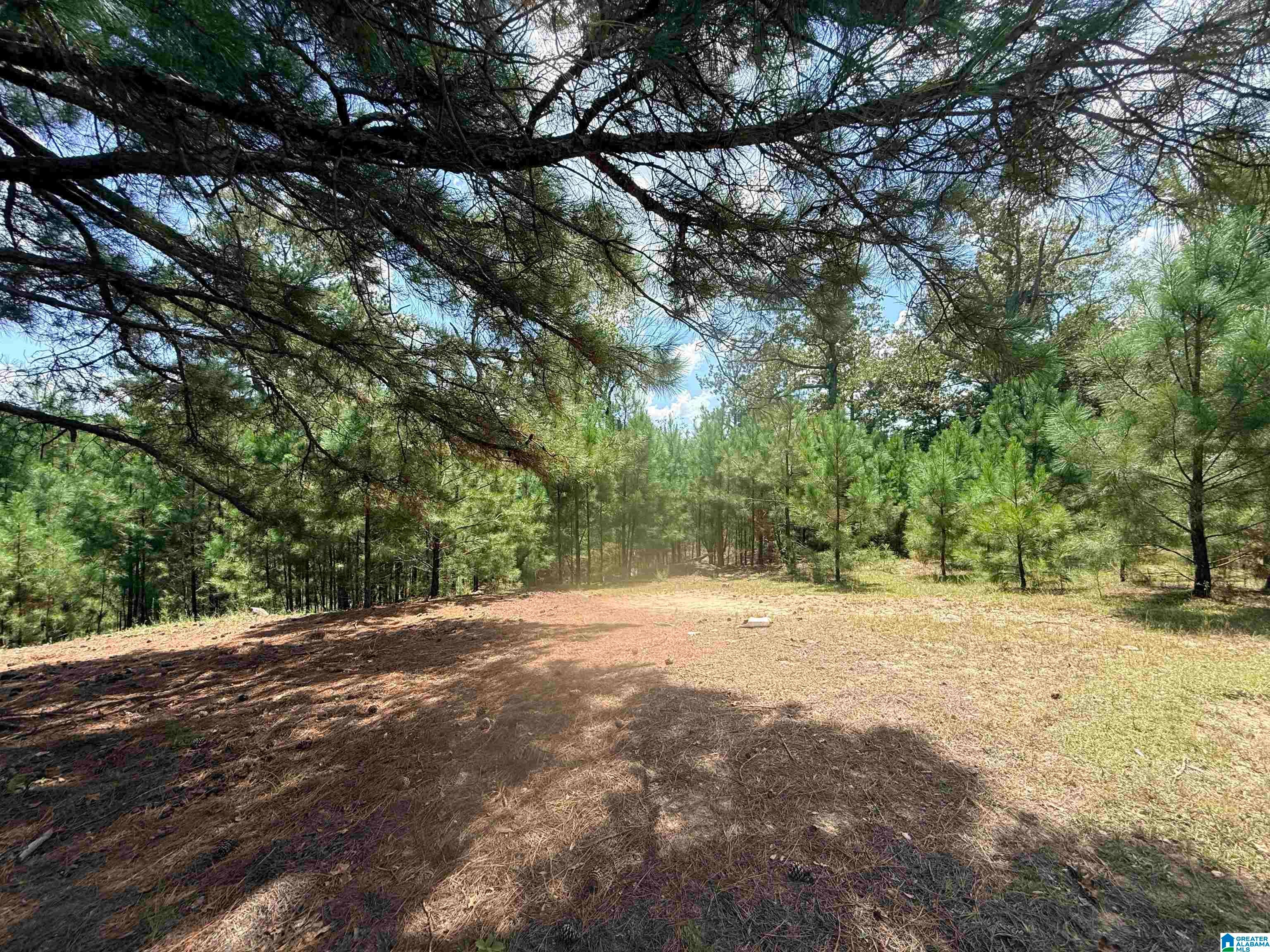 0 Rockyview Road West Blocton, AL 35184 - Photo 1 of 23 Gallery Image 1