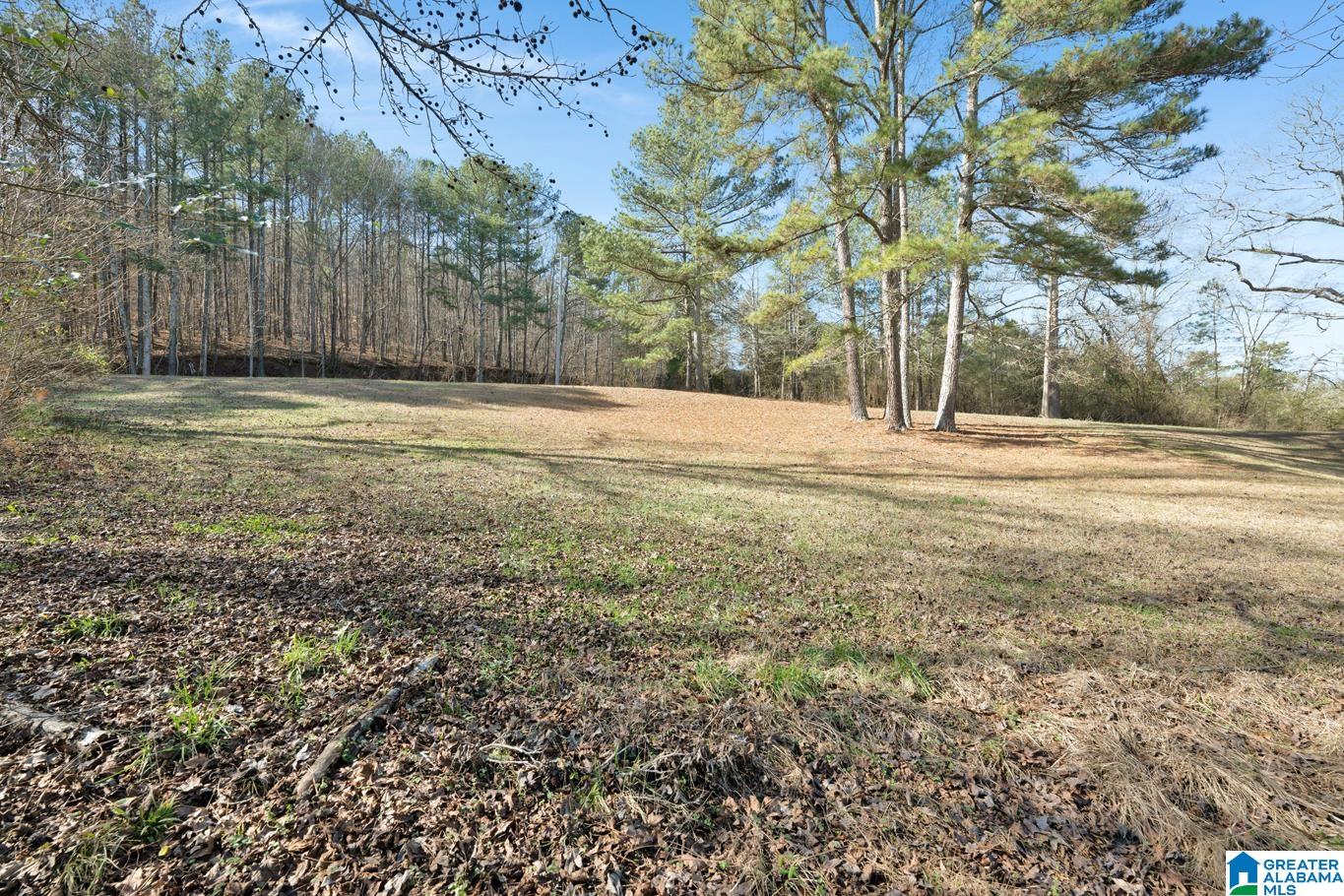 3050 County Road 974 Logan, AL 35098 - Photo 25 of 31