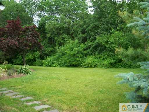 9 Flower Road Somerset, NJ 08873 - Photo 8 of 8 a view of a big yard with a house and large trees