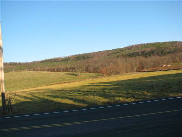2015 Switzkill Road Berne, NY 12023 - Photo 4 of 11 Photo 4